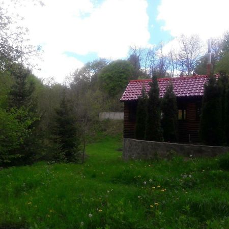 Hotel Casa Daos Nucşoara Exteriér fotografie